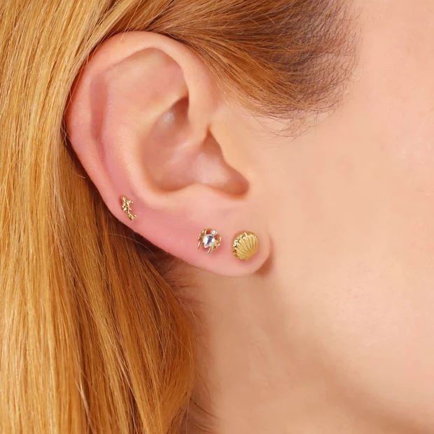 Piercing Araña Gold - Imagen 2