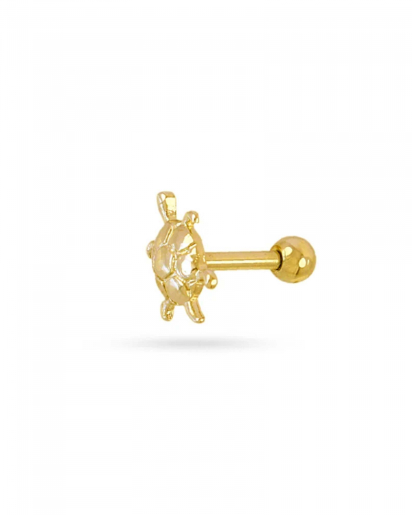 Piercing Tortoise Gold Anartxy