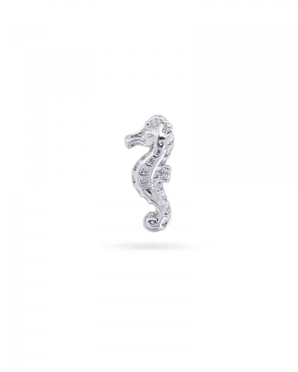 Piercing Seahorse Acero