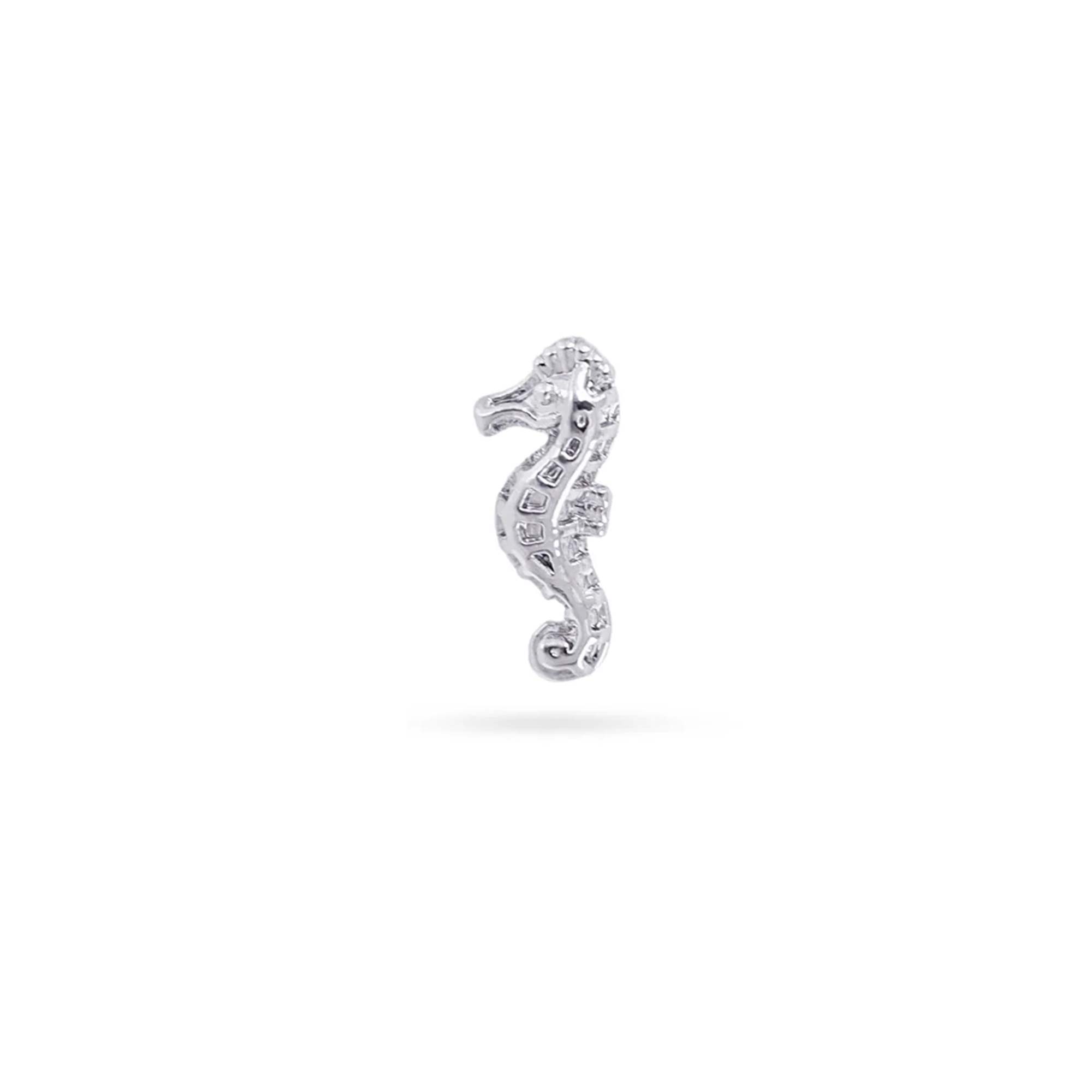 Piercing Seahorse Acero