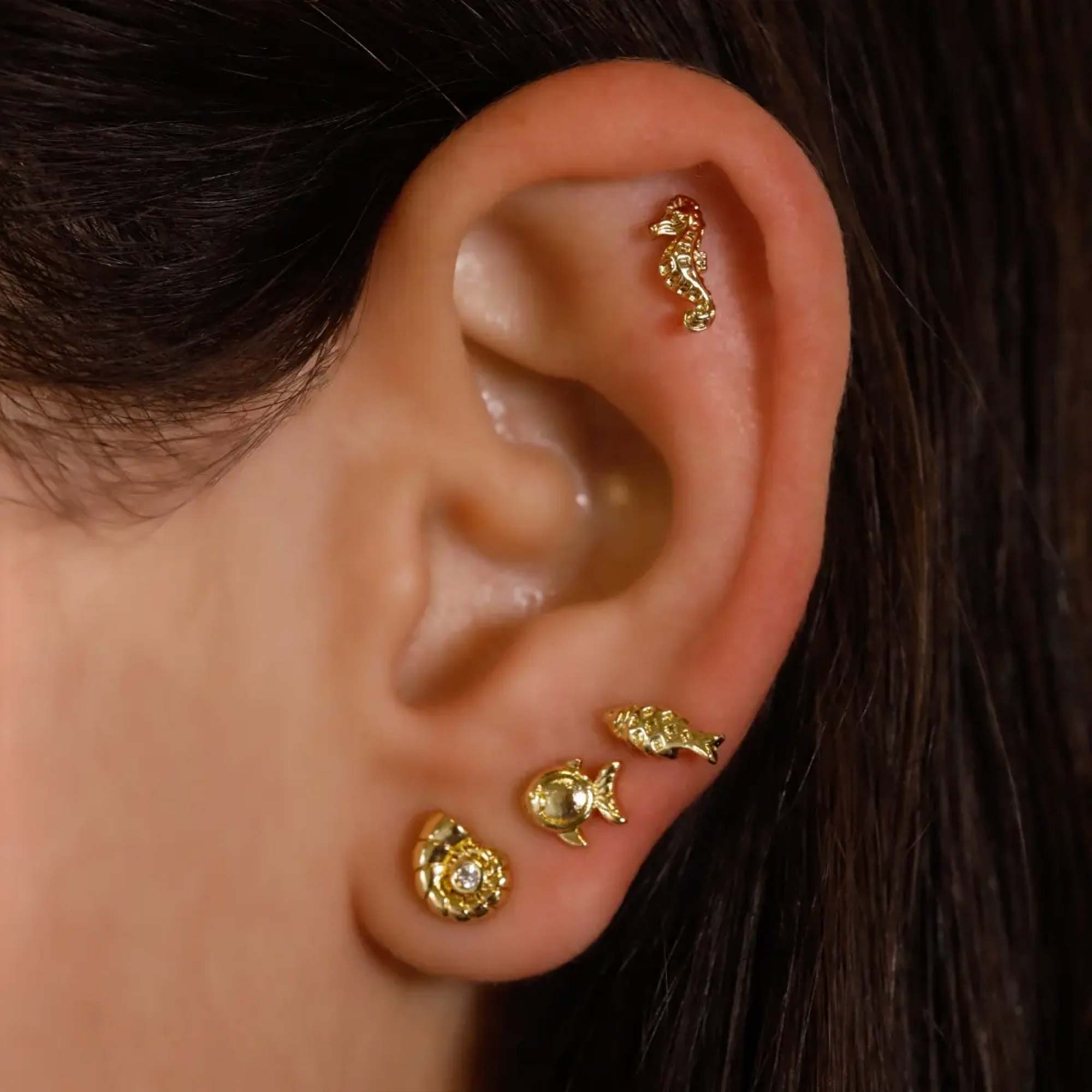 Piercing Seahorse Acero - Imagen 2