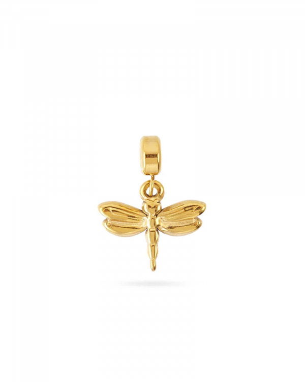 Charm Libélula Gold