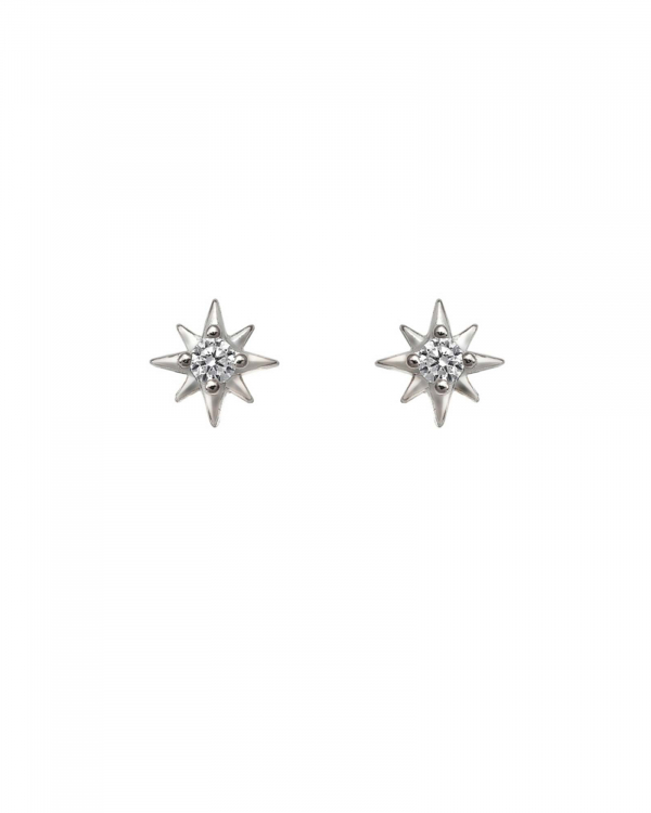 Pendiente Polar Plata