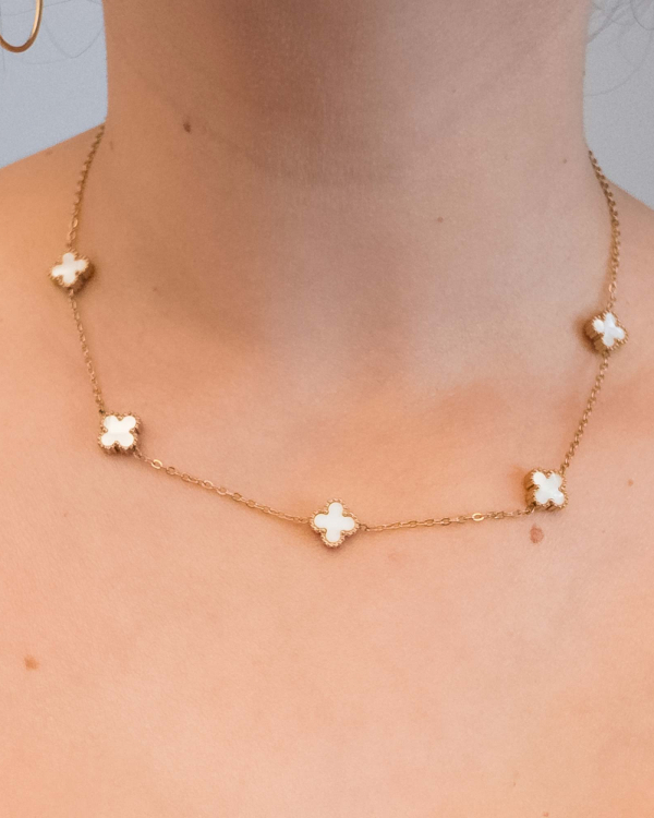 Collar Van Nácar Gold